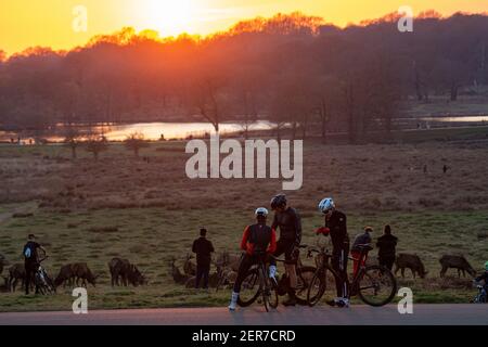 Radfahrer im Richmond Park genießen den Sonnenuntergang als Rotwild An einem Winterabend Stockfoto