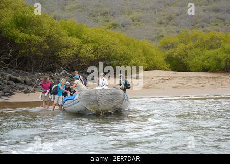 Klettern in den Panga am Espumilla Strand, Santiago Insel, Galapagos Inseln, Ecuador Stockfoto