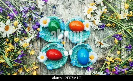 Bunte Ostereier in den Nestern von Wildblumen. Osterdekoration im Landhausstil. Horizontaler Hintergrund für Ostern Grüße. Stockfoto