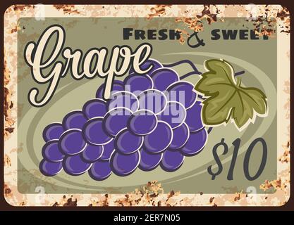 Weintraube rostigen Metallplatte, Vektor-vintage Rost Zinn Zeichen mit Bund von reifen schwarzen Trauben mit Blatt. Shop oder Bauernhof promo, ferruginous Label, Weinberg produ Stock Vektor