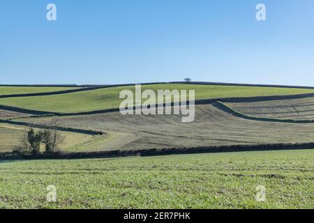 Sonnige 16:9 Landschaft von Heckenfeldrändern von weit entfernten Aussichtspunkt gesehen. Für britische Feldsysteme, Cornwall Fields, Cornish Farms, Zickzack. Stockfoto