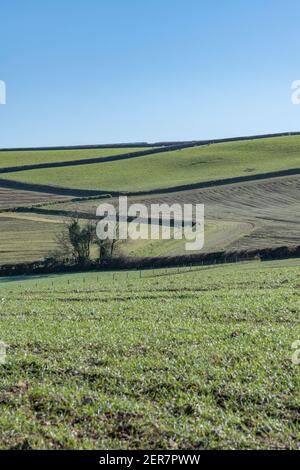 Sunny Spring Landschaftsansicht der Feldgrenzen von einem entfernten Aussichtspunkt aus gesehen. Für britische Feldsysteme, Cornwall Fields, Cornish Farms, Zickzack. Stockfoto