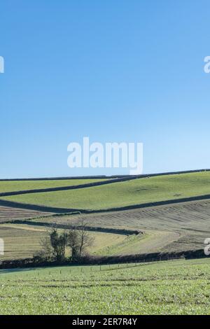 Sunny Spring Landschaftsansicht der Feldgrenzen von einem entfernten Aussichtspunkt aus gesehen. Für britische Feldsysteme, Cornwall Fields, Cornish Farms, Zickzack. Stockfoto