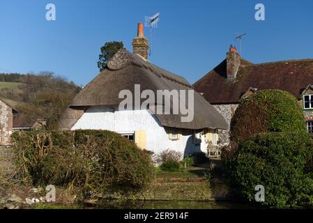 Traditionelles englisches Reethaus und Village Pond in Singleton ein idyllisches Dorf in den Ausläufern der South Downs. Stockfoto