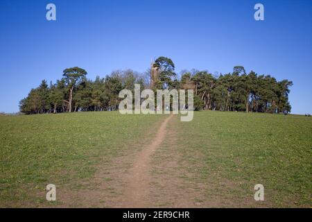 Faringdon Folly, Oxfordshire, England Stockfoto