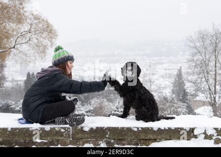 Stuttgart, Deutschland, 2021-02-10, ein schwarzer Labradoodle Hund und sein Besitzer sitzen an einer Wand, genießen Sie den frischen Schnee, geben hohe fünf Stockfoto