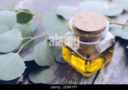 Eukalyptus ätherische Öle in Glasflasche. Oganic Kräuter Aromatherapie Konzept. Stockfoto