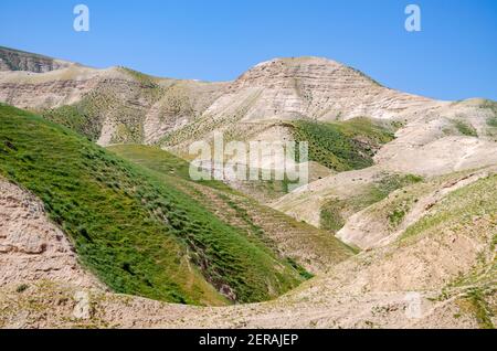 Landschaftlich schöner Blick auf den Meeresspiegel Marker auf Highway 1 in der Nähe von Mitzpe Yeriho, Hügel der Judäischen Wüste mit Flecken von grünem Gras nach Winterregen, IL Stockfoto