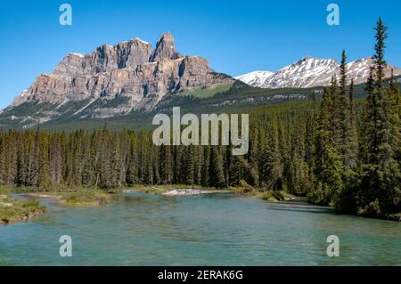 „Bow River“ schlängelt sich durch dichten Nadelwald mit schroffen „Castle Mountain“ in der Ferne, vom Aussichtspunkt TransCanada Highway aus gesehen Stockfoto