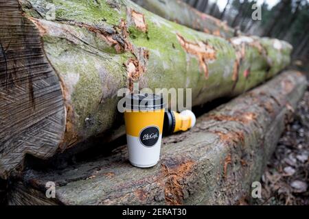 McCafe zu gehen Tasse auf einem gefällten Baum abgelegt. Stockfoto