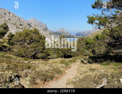 Wandern auf dem Trail zum Mount L'Ofre mit Blick nach hinten Zum Cuber See Im Tramuntana Gebirge Auf Balearen Insel Mallorca auf EINEM sonnigen Winter D Stockfoto