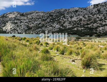 Blick Auf Die Karge Landschaft Am Cuber See In Der Tramuntana Berge auf der Baleareninsel Mallorca an EINEM sonnigen Wintertag Mit EIN paar Wolken am Himmel Stockfoto