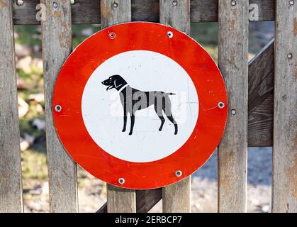 Rot weiß kein Hunde-Schild, auf einem hellbraunen Pfostenzaun, kein Zugang für Hunde Stockfoto