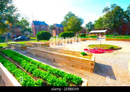 1850s William Enston Häuser für ältere Personen in Charleston, SC von Kent Dorf mit Namen aus seinem Heimatdorf in England; zB Straße namens Queen Bertha. Stockfoto