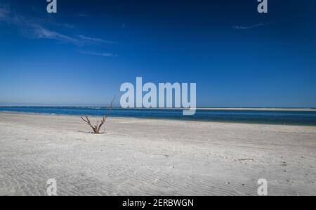 Wunderschöner und natürlicher Floridian Beach Stockfoto