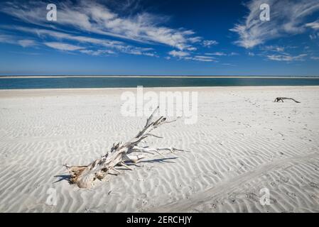 Wunderschöner und natürlicher Floridian Beach Stockfoto