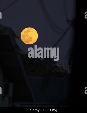 Vollmond unter Stromleitungen Stockfoto