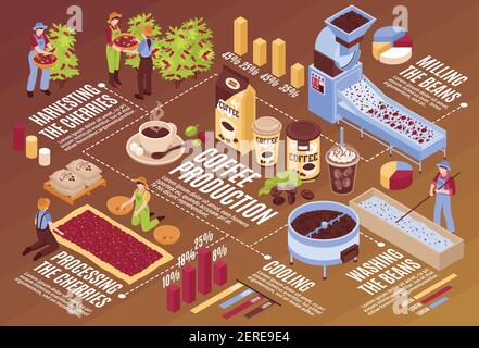 Isometrische Kaffee Produktion horizontale Flussdiagramm Zusammensetzung mit isolierten Infografik Elemente Pflanzen mit Bohnen Verpackung und Menschen Vektor illustraa Stock Vektor