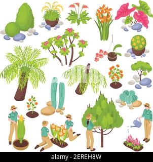 Isometrische botanischen Garten Gewächshaus mit isolierten Bildern von verschiedenen gesetzt Pflanzen Bäume und Blumen mit Menschen Vektor Illustration Stock Vektor