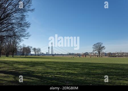 Outdoor sonniger Landschaftsblick am Rheinpark Golzheim, großer langer Park am Rheinufer in Düsseldorf, Deutschland. Stockfoto