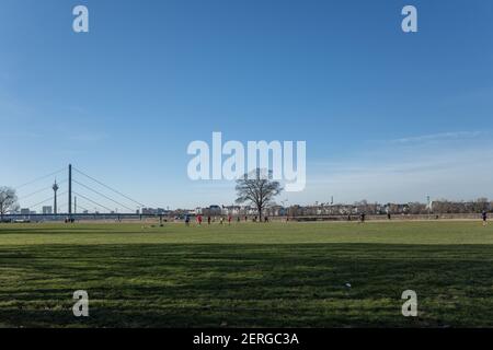 Outdoor sonniger Landschaftsblick am Rheinpark Golzheim, großer langer Park am Rheinufer in Düsseldorf, Deutschland. Stockfoto