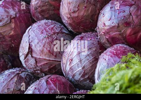 Rotkohl auf dem Bauernmarkt Stockfoto