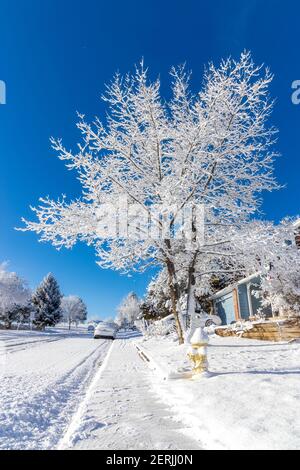 Wohnviertel nach dem Schneesturm bei klarem Wetter. Aurora, Colorado Stockfoto