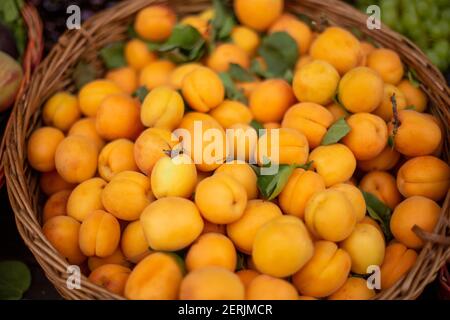 Ein Korb voller frischer Aprikosen auf einem Markt. Stockfoto