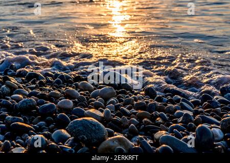 Goldene Kieselsteine an der Küste im Morgensonnenlicht. Meereswelle an der Küste mit runden Steinen. Mittelmeerküste. Hochwertige Fotos Stockfoto