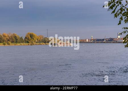 Duisburg, Nordrhein-Westfalen, Deutschland - 11. November 2019: Schiffe auf dem Rhein, von der Rheinpromenade Wanheim aus gesehen Stockfoto