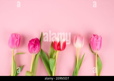 Schöne bunte Tulpen auf hellrosa Hintergrund mit Platz für Text kopieren. Entwurf für Grußkarte - Muttertag, Frauentag, 8. März oder Valentinstag Stockfoto