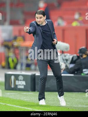 Leverkusen, Deutschland. 25th. Feb 2021. Coach Gerardo SEOANE (Bern) Geste, Geste. Fußball Europa League, sechzehntes Endspiel, Bayer 04 Leverkusen (LEV) - Junge Jungen Bern, am 02.25.2021 in Leverkusen Â Quelle: dpa/Alamy Live News Stockfoto