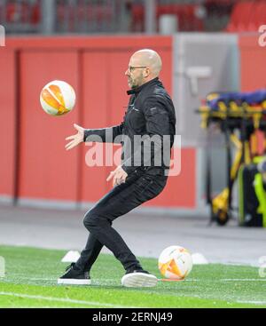 Leverkusen, Deutschland. 25th Feb, 2021. Trainer Peter BOSZ (LEV) rutscht, rutscht, stolpert, Herbst Fußball Europa League, 16. Finale Rückspiel, Bayer 04 Leverkusen (LEV) - Junge Jungen Bern, am 02.25.2021 in Leverkusen/Deutschland. â Nutzung weltweit Credit: dpa/Alamy Live News Stockfoto