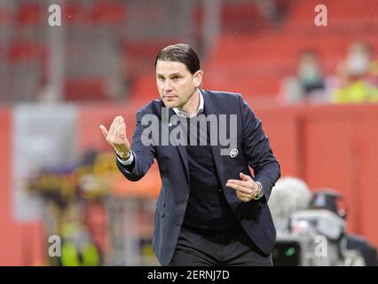 Leverkusen, Deutschland. 25th. Feb 2021. Coach Gerardo SEOANE (Bern) Geste, Geste. Fußball Europa League, sechzehntes Endspiel, Bayer 04 Leverkusen (LEV) - Junge Jungen Bern, am 02.25.2021 in Leverkusen Â Quelle: dpa/Alamy Live News Stockfoto