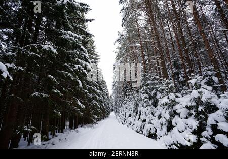Landschaftlich schöner Blick auf eine Winterlandschaft Stockfoto
