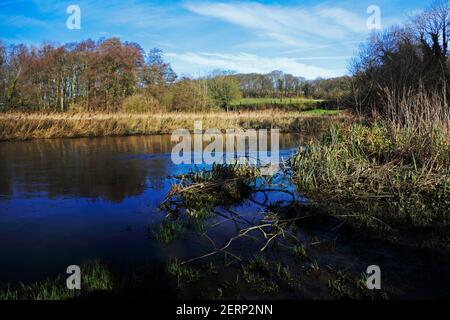 Ein Blick auf den Fluss Wensum, der durch offene Landschaft bei Drayton Green Lanes in Drayton, Norfolk, England, Großbritannien fließt. Stockfoto