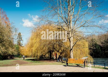 Maidenhead, Berkshire, Großbritannien, Freitag, 26/02/2021, Allgemeine Ansicht, gepflasterte Erholungsgebiet mit Bänken, Ray Mill Island, Themse, Themse Stockfoto