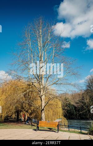 Maidenhead, Berkshire, Großbritannien, Freitag, 26/02/2021, Allgemeine Ansicht, gepflasterte Erholungsgebiet mit Bänken, Ray Mill Island, Themse, Themse Stockfoto