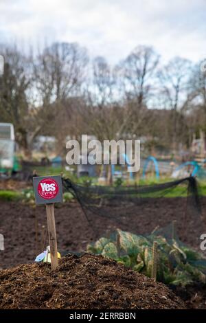 Cardiff, Wales. Februar 22nd 2021. Abgebildet ist Pontcanna Dauerallotments. Wetter in Großbritannien. Welsh Green Spaces Stockfoto