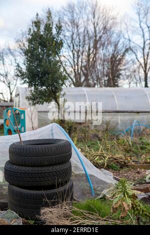 Cardiff, Wales. Februar 22nd 2021. Abgebildet ist Pontcanna Dauerallotments. Wetter in Großbritannien. Welsh Green Spaces Stockfoto