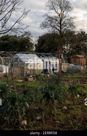 Cardiff, Wales. Februar 22nd 2021. Abgebildet ist Pontcanna Dauerallotments. Wetter in Großbritannien. Welsh Green Spaces Stockfoto