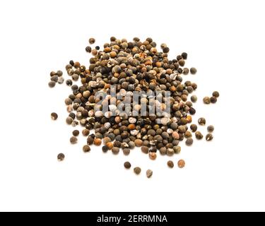 Okra oder Damenfinger, abelmoschus esculentus Samen isoliert auf weißem Hintergrund Stockfoto