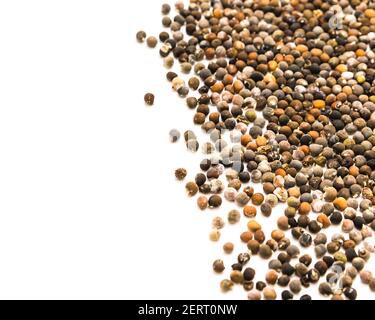 Viele Okra- oder Damenfinger, abelmoschus esculentus Samen, die sich isoliert auf weißem Hintergrund ausbreiten Stockfoto