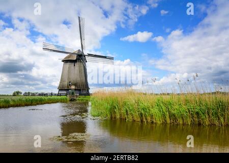 Holländische Windmühle mit Spiegelung in holländischer Landschaft, Kinderdijk, Niederlande. Stockfoto