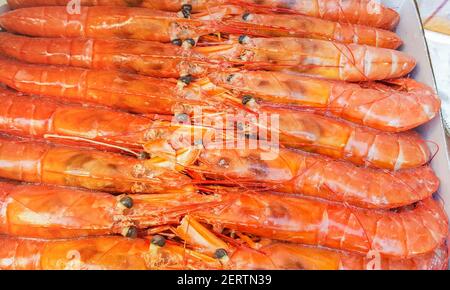 Große gefrorene Langoustine in einer Packung auf der Theke eines Fischmarktes, Nahaufnahme. Stockfoto