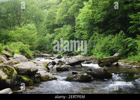 Warerfalls at WatersmeetEast Lyn River Exmoor National Park Devon Großbritannien LA000413 Stockfoto