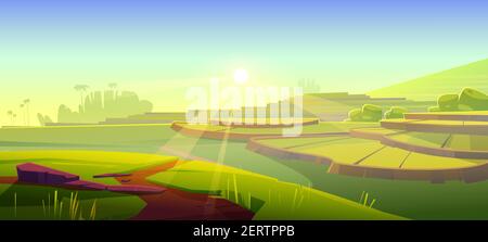 Reisterrassen, morgens grünes Reisfeld. Vektor-Cartoon-Illustration der Sommerlandschaft mit Ernte Plantage auf Hügeln bei Sonnenaufgang. Asiatisches terrassenförmiges Ackerland und Sonnenstrahlen Stock Vektor