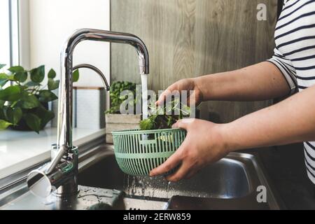 Frau waschen grüne Salatblätter für Salat in der Küche in Waschbecken. Hochwertige Fotos Stockfoto