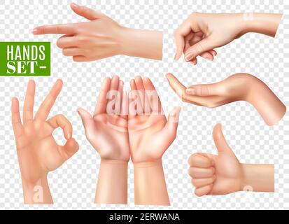 Menschliche Hände Gesten realistische Bilder mit Zeigefinger gesetzt ok sign Thumb up Transparente Hintergrund Vektor-Illustration Stock Vektor