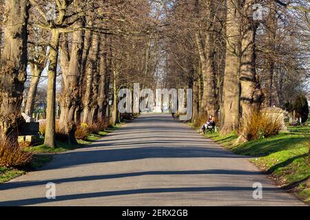 Eine gerade Straße durch einen Park im Winter mit Menschen Gehen ihre Hunde und Menschen auf Bänken sitzen Stockfoto